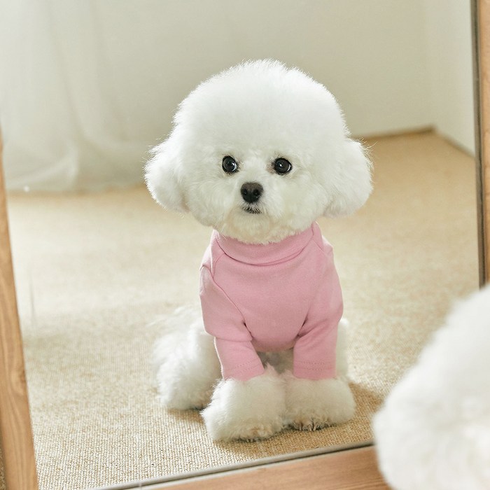 개니클로 반려견 터틀넥 티셔츠, 핑크 대표 이미지 - 비숑 옷 추천