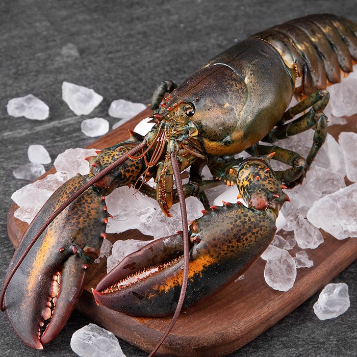 바이킹마켓 캐나다산 활랍스터, 670g, 1개 대표 이미지 - 바이킹마켓 추천