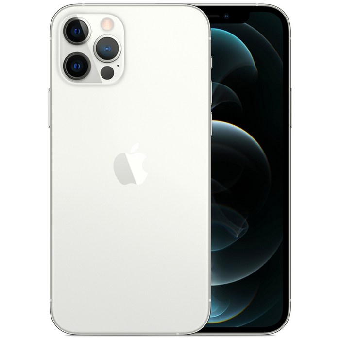 Apple 아이폰 12 Pro 자급제, 256GB, 실버 대표 이미지 - 아이폰12 자급제 추천