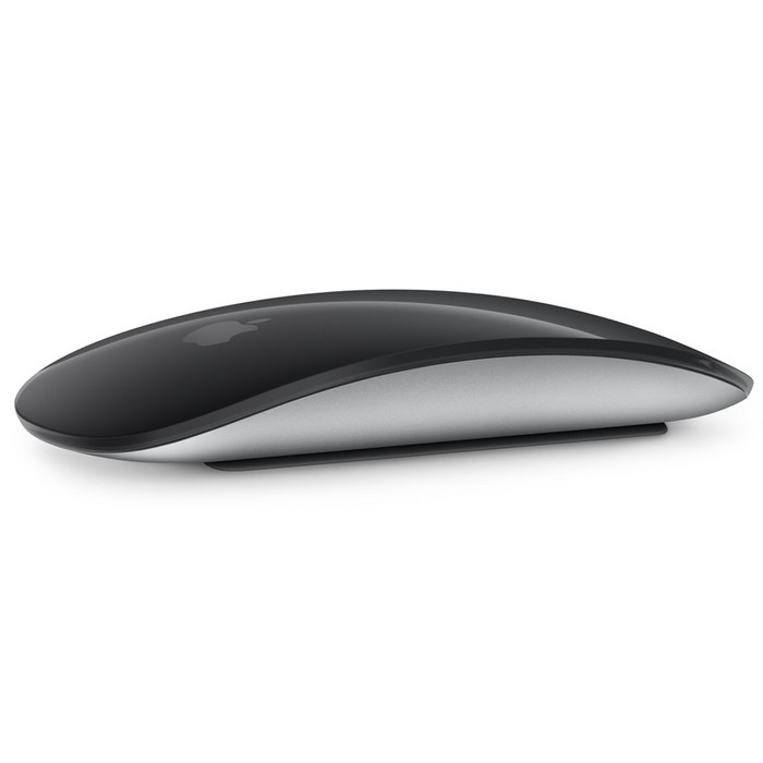 Apple 2021년 Magic Mouse, 블랙 대표 이미지 - 맥 마우스 추천