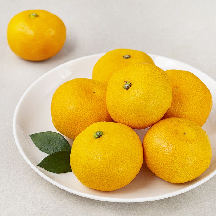 딜리조이 당도선별 하우스 감귤, 500g, 1팩 대표 이미지 - 하우스 귤 추천