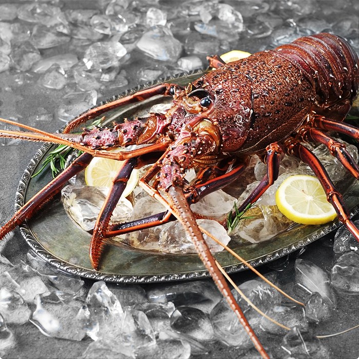 바이킹 마켓 스파이니 랍스타, 850~970g, 1개 대표 이미지 - 바이킹마켓 추천