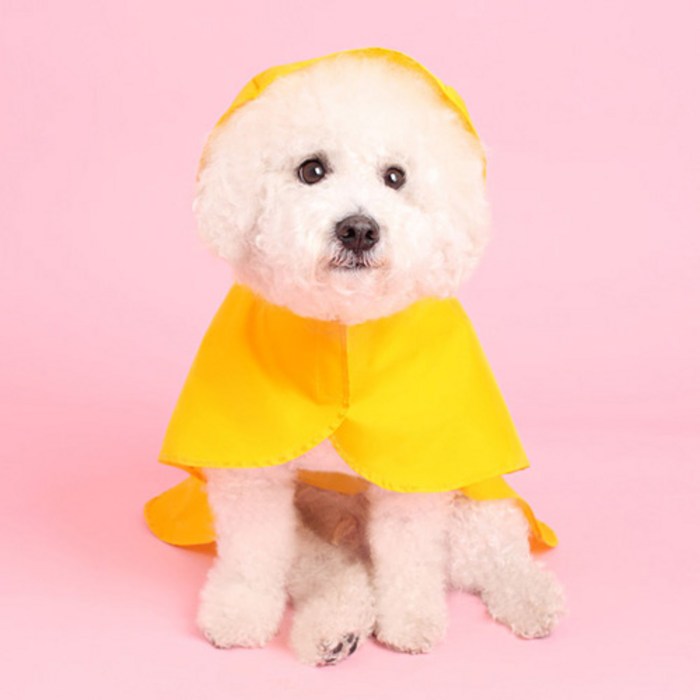 어썸키즈 강아지 판초 레인코트, yellow 대표 이미지 - 강아지 우비 추천