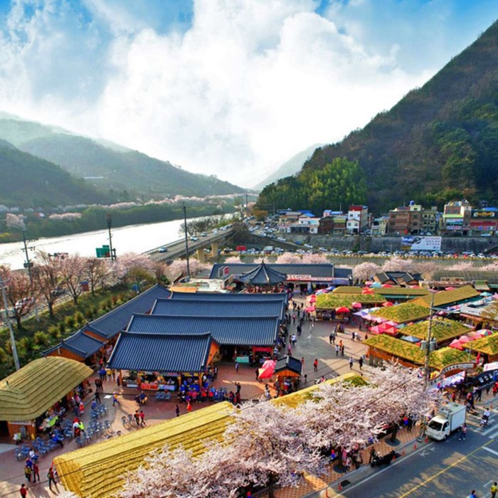 [경남] 하동 화개장터 벚꽃축제(십리벚꽃길)+전남 구례 화엄사 홍매화 당일여행 /봄꽃축제/서울경기出 대표 이미지 - 벚꽃 명소 추천