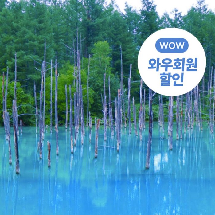 [일본] 북해도전세기 2박3일 패키지 대표 이미지 - 일본 패키지 여행 추천