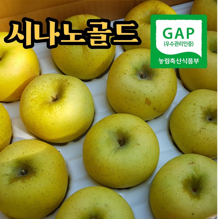 (산지직송)경북능금 영주에서 자란 시나노골드 황금사과 가정용 흠과 5kg 24과 내외, 5kg (24과 내외) 대표 이미지 - 시나노 골드 사과 추천