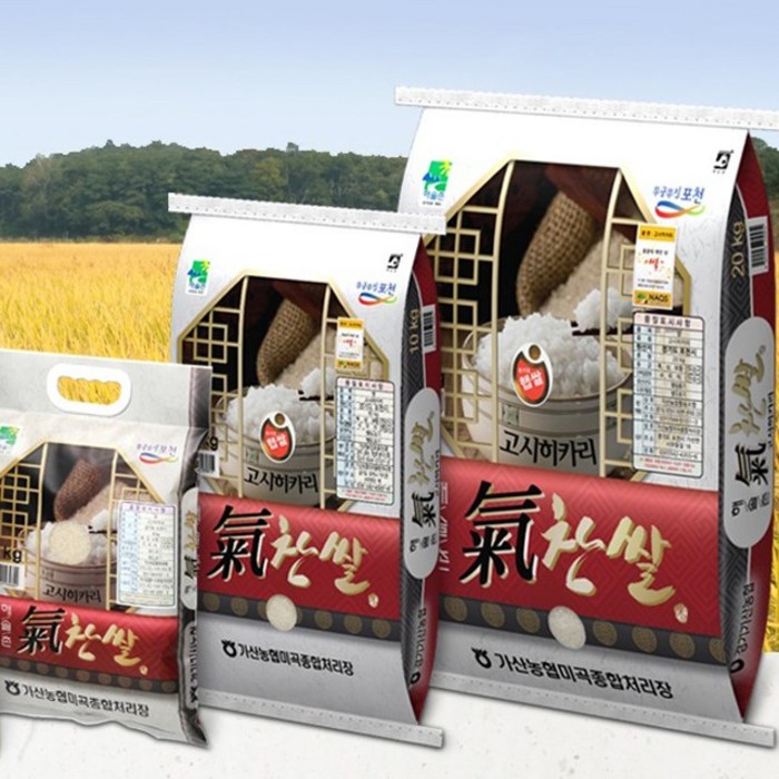 30%할인[6만3천원구매가능]결재시 자동적용 고시히카리 21년햅쌀 당일도정 배송쌀 20kg 대표 이미지 - 당일도정 쌀 추천
