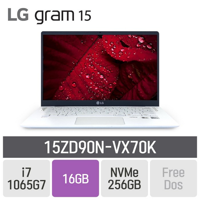 LG 그램15 2020 15ZD90N-VX70K, 16GB, SSD 256GB, 미포함