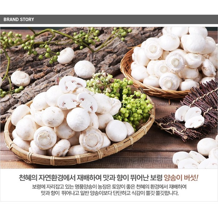 보령머쉬팜 양송이버섯파지2Kg/포타벨라버섯파지2kg/양송이버섯 꼬다마2kg, 양송이파지2kg 대표 이미지 - 양송이버섯 추천