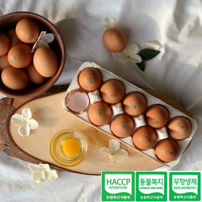 봄란 동물복지 유정란 20구 40구 친환경 계란 무항생제 HACCP 인증 1040g~ 달걀 당일산란 당일발송 대표 이미지 - 김계란 추천