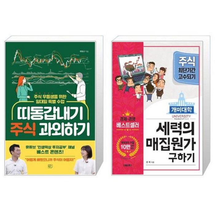 띠동갑내기 주식 과외하기 + 개미대학 세력의 매집원가 구하기 (마스크제공) 대표 이미지 - 주식대학 추천