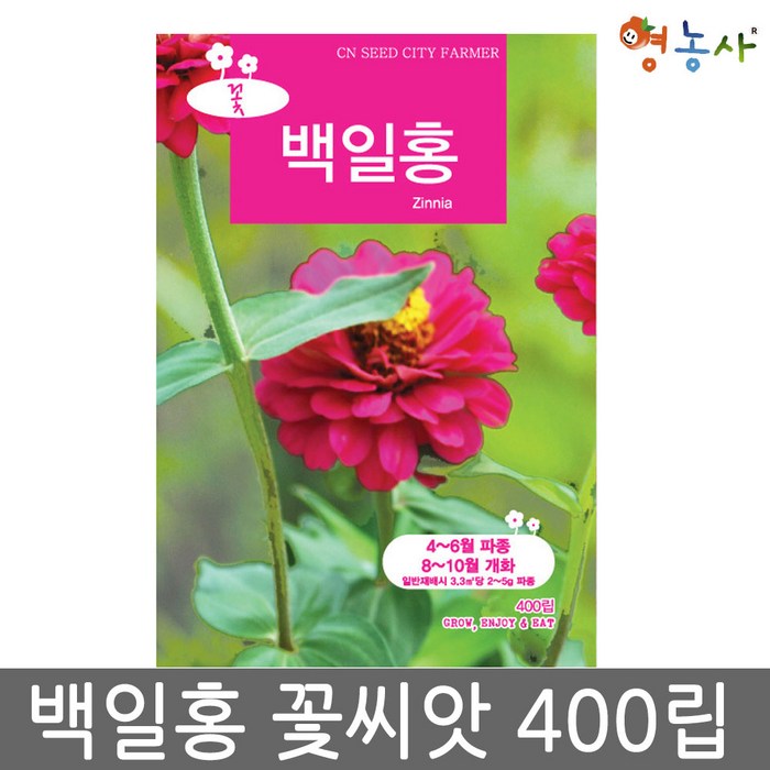 백일홍씨앗 400립 백일홍씨 백일홍 꽃씨앗 꽃씨, 백일홍중포장 대표 이미지 - 꽃씨 추천