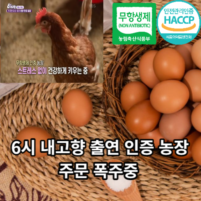 [친환경농법계란] 마미템 무항생제 동물복지 농장직영 맥반석 구운란 구운계란 유정란 참숯 훈제란 30구 60구 90구 초란 중란 대란 특란, 구운유정초란(30구) 대표 이미지 - 김계란 추천