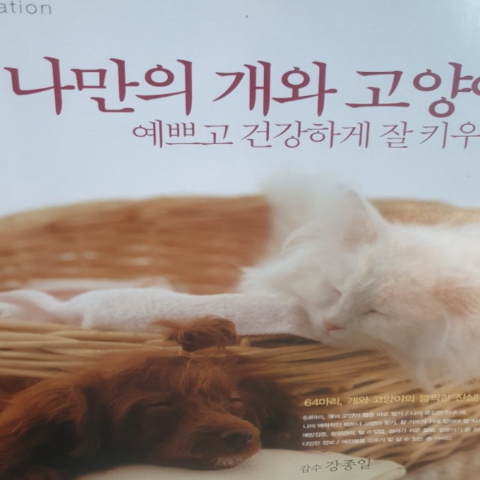 나 만의 개와 고양이/웅진.2002 대표 이미지 - 고양이 키우는 법 추천