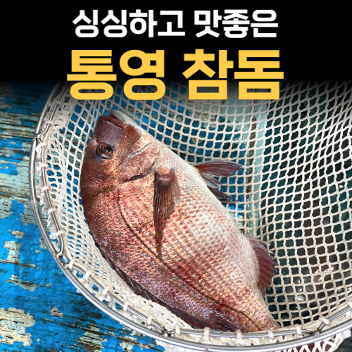 통영 손질 참돔 반건조 참돔 1kg(손질후 800g내외) 매운탕 생선구이 찜용 제수용, 1.손질 참돔_1kg 대표 이미지 - 참돔 회 추천