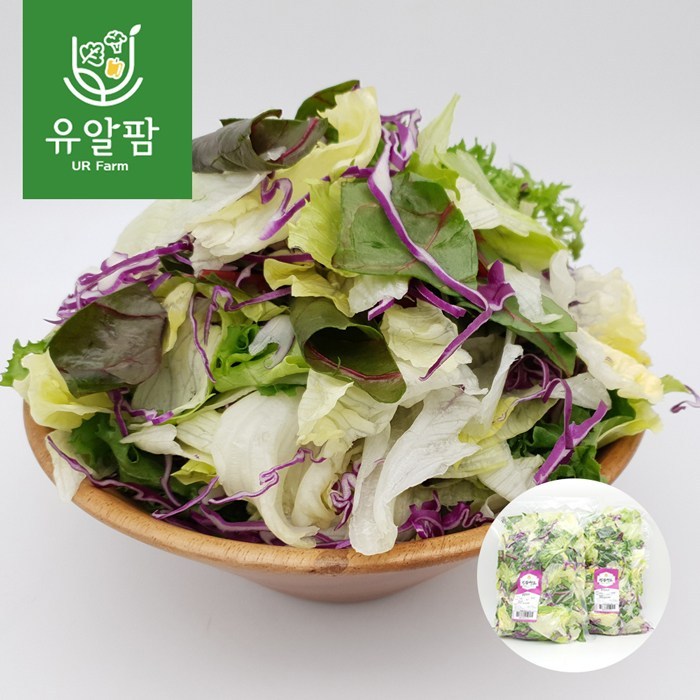 의령농산 유알팜 당일채소 당일제조 당일발송 샐러드1kg 골라담기 9종, 03_양배추 적채 샐러드 1kg 대표 이미지 - 쉬림프 샐러드 추천