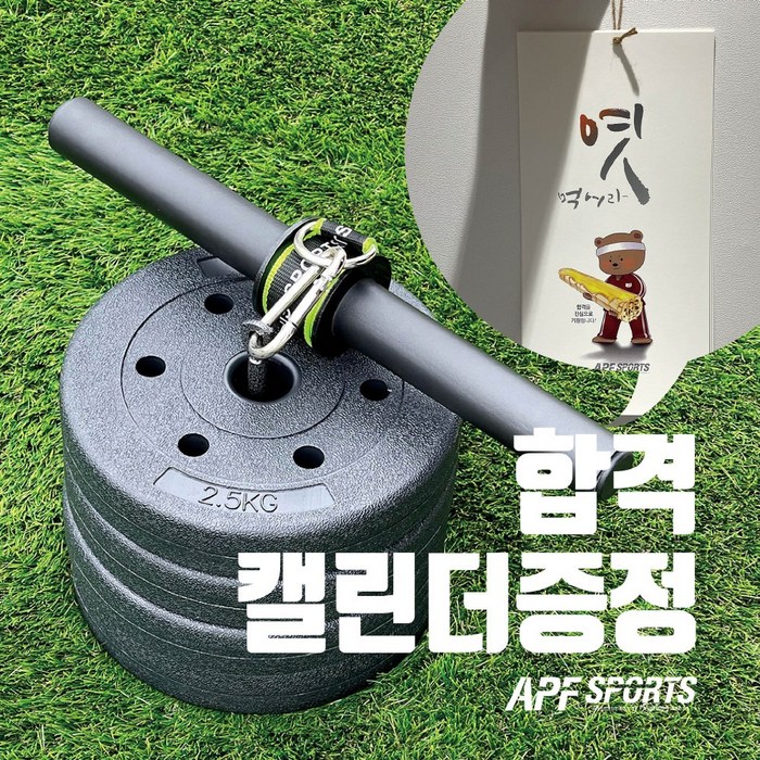 경찰 소방공무원 악력준비 전완근운동 손목강화운동 악력 강화 추감기 리스트롤러와 10kg 원판포함(2.5kg 4개) 대표 이미지 - 전완근 운동 추천
