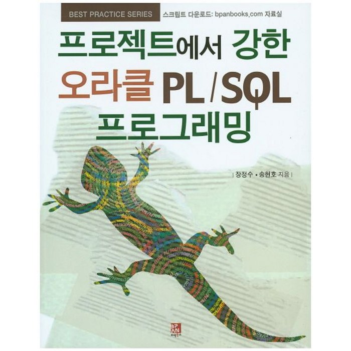 프로젝트에서 강한 오라클 PL/SQL 프로그래밍, 비팬북스 대표 이미지 - 오라클 책 추천