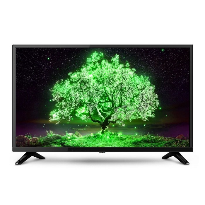 라익미 스마트 DS4001L FULL HD LED 40인치 TV VA패널 넷플릭스 유튜브 60hz, 스탠드 기사방문설치(지방/제주도불가) 대표 이미지 - 미니 LED TV 추천