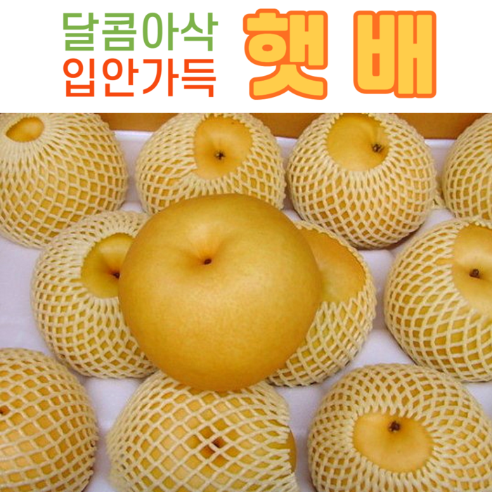 [성환 배꽃마을 ] 알뜰배(햇배) / 3kg(7~8과) / 가정용 /원황배 대표 이미지 - 차례 음식 추천