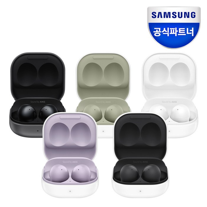 삼성전자 갤럭시 버즈2 블루투스 이어폰, SM-R177N, 오닉스 대표 이미지 - 오닉스 추천