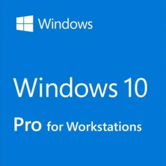 마이크로소프트 Windows 10 Pro for workstations (DSP 한글 64bit), 선택하세요