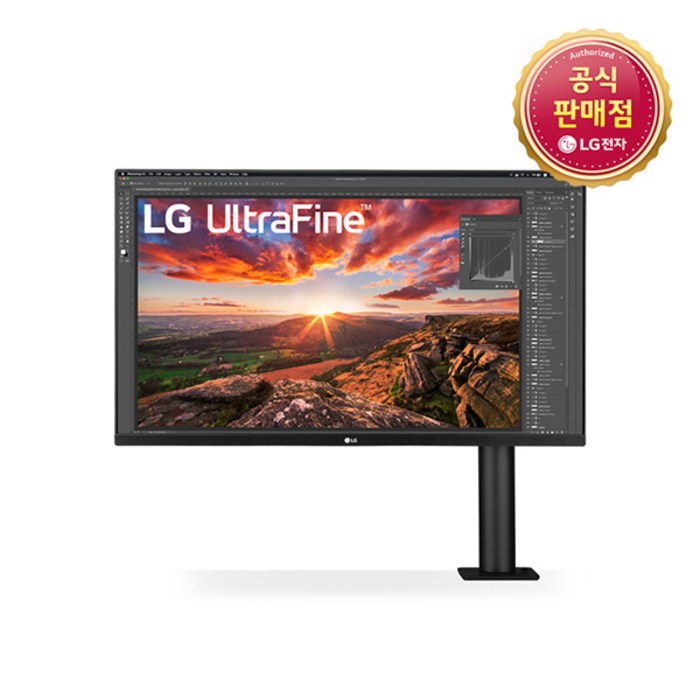 LG전자 80cm 4K UHD 360 모니터, 32UN880 대표 이미지 - LG IPS 패널 모니터 추천