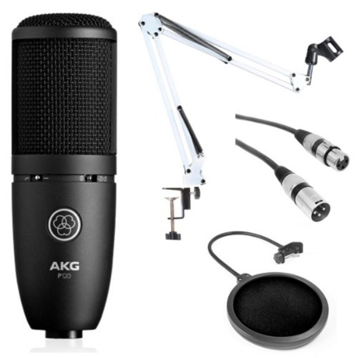 AKG P120 단일지향성 콘덴서 마이크 패키지 FCS10, 본품 대표 이미지 - 홈레코딩 추천