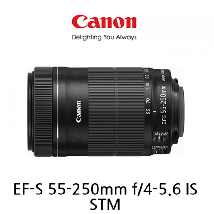 EF-S 55-250mm 1:4-5.6 대표 이미지 - 캐논 줌렌즈 추천