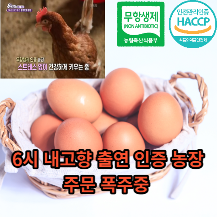 [당일산란계란] 마미템 친환경 무항생제 방사 계란 30구 초란 유정란, 60구 대표 이미지 - 김계란 추천