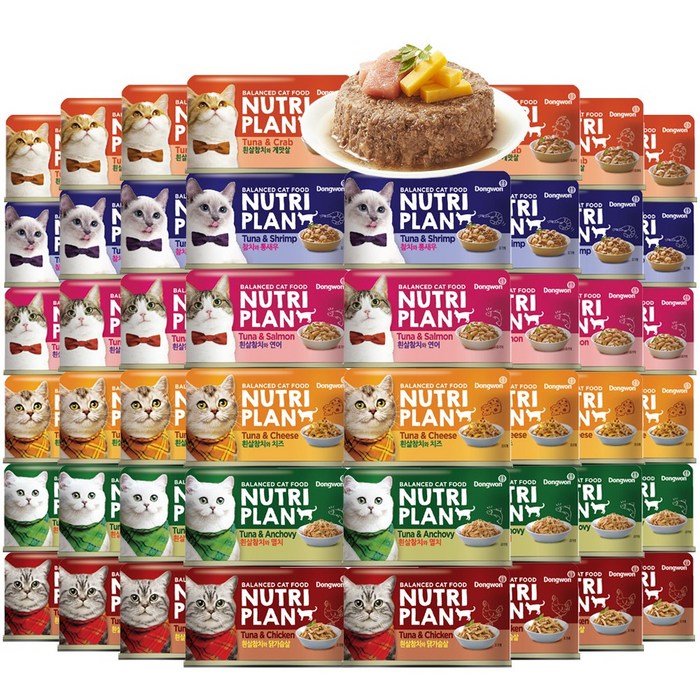 동원 뉴트리플랜 고양이 습식 대용량 캔 160g x 96개 맛별 골라담기, 6종(각8개씩) 160g 48개, 6종(각8개씩) 160g 48개 대표 이미지 - 별창 추천