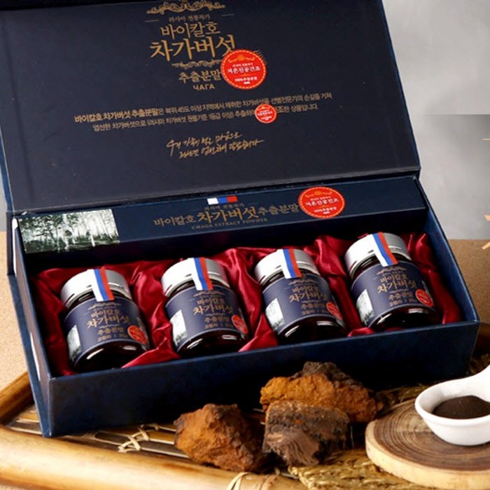 러시아산 차가버섯 추출 분말, 100g(25g*4병), 1개 대표 이미지 - 러시아 차가버섯 분말 추천