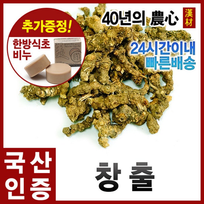 자애인 국산 창출 300g 깨끗히 세척 후 건조한 100% 강원홍천 국산 창출, 1개 대표 이미지 - 말굽버섯 추천