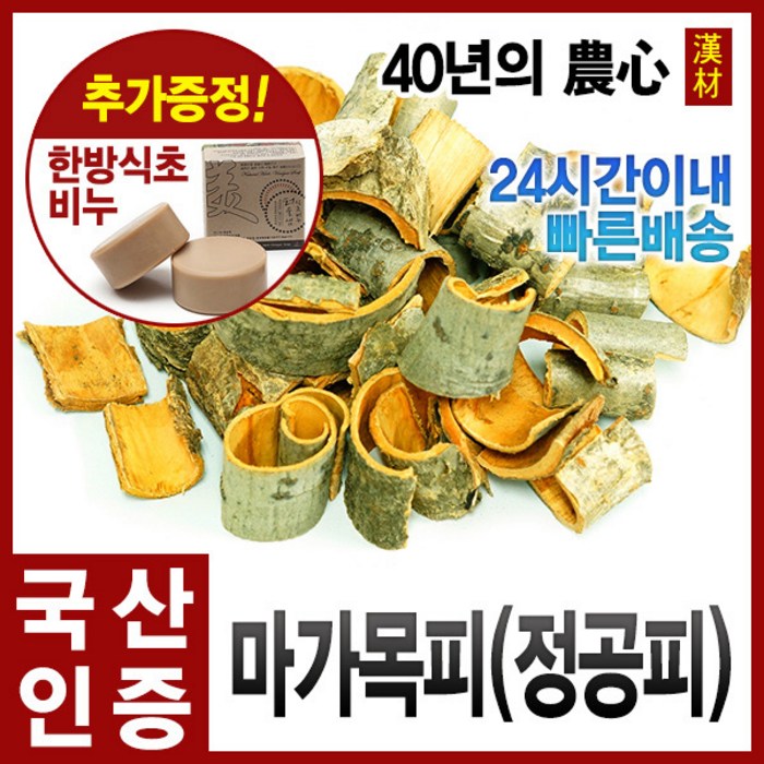 자애인 국산 마가목피 대용량 1200g 정공피 마가목차 마가목껍질, 단품 대표 이미지 - 마가목 추천