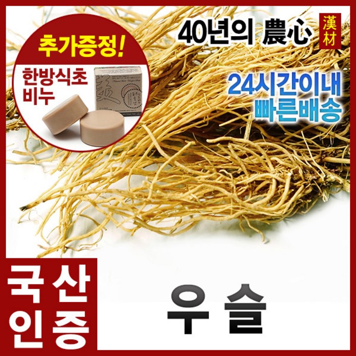  대표 이미지 - 우슬 추천