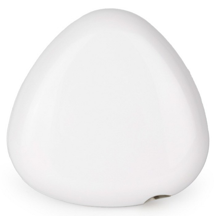 PLEIGO UV C LED 휴대용 충전식 조약돌 칫솔 살균기