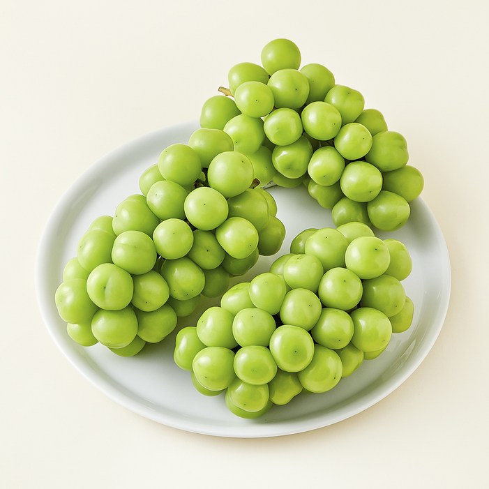 중화농협 상주 고당도 샤인머스캣