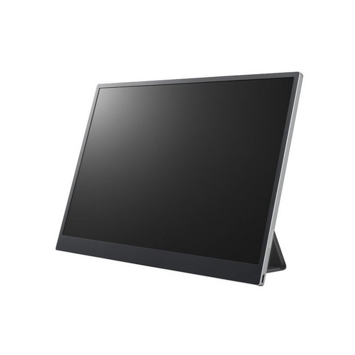 LG전자 WQXGA 그램 View 모니터