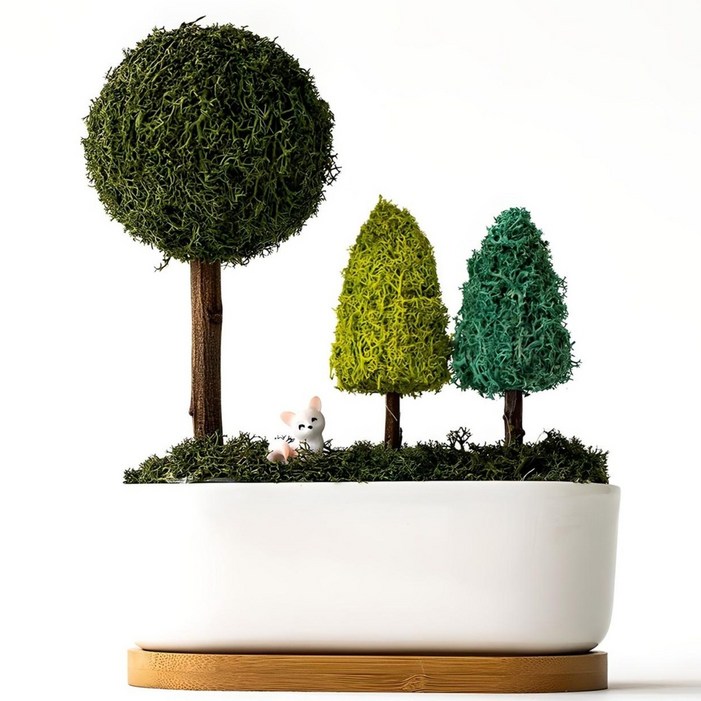 스칸디아모스 포레스트 화분