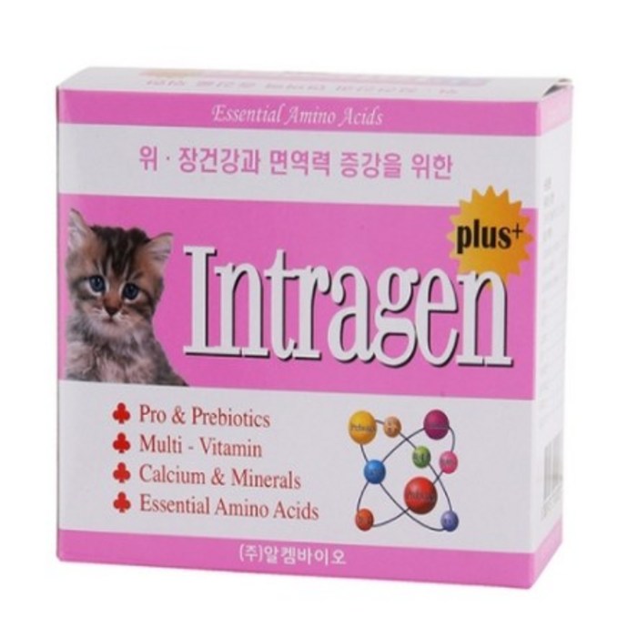 알켐바이오 인트라젠 30P 반려동물 영양제 고양이 영양제강아지