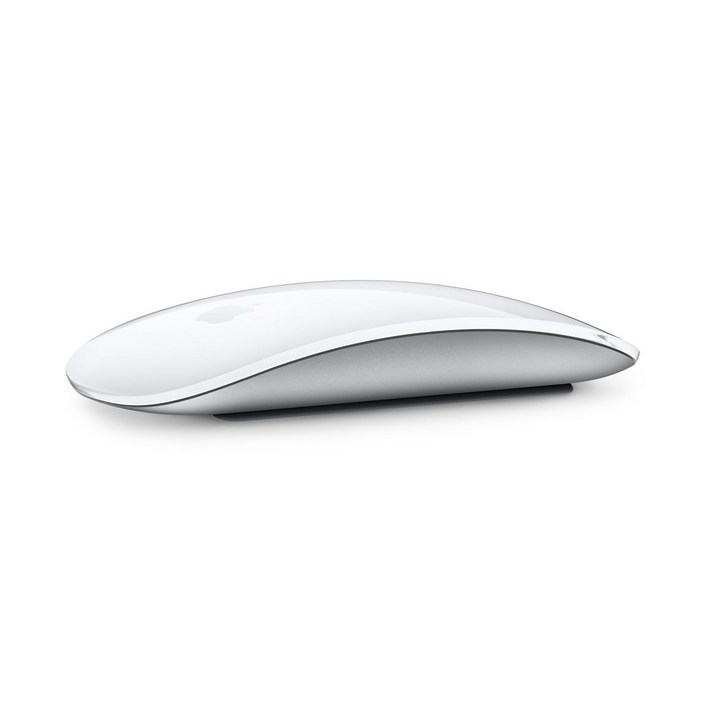 Apple 2021년 Magic Mouse