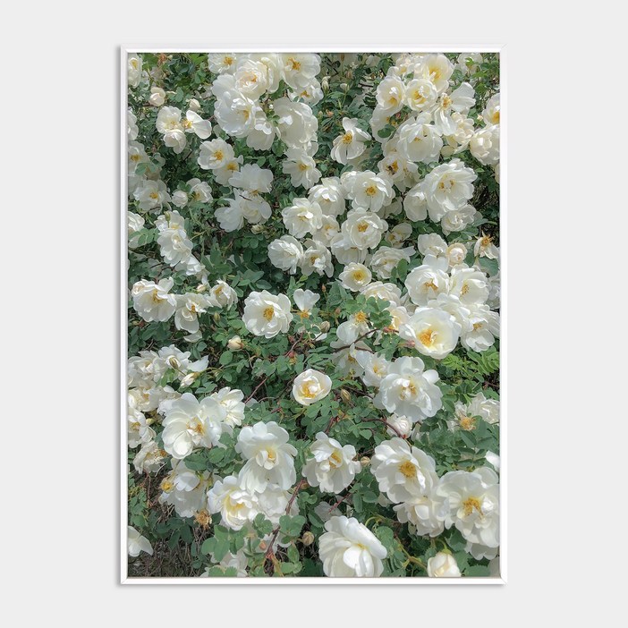 멜팅스튜디오 알루미늄 나의 유럽 모먼트 액자 세트 108번 Among the flowers