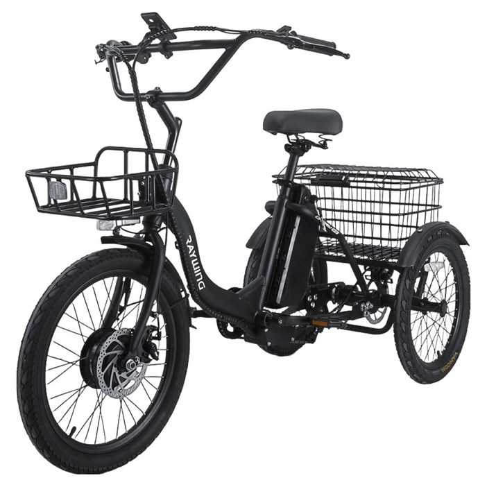 레이윙 삼성셀 배터리 캐리 이지 삼륜 전기자전거 20Ah 고객직접설치, 팬텀 블랙, 스틸