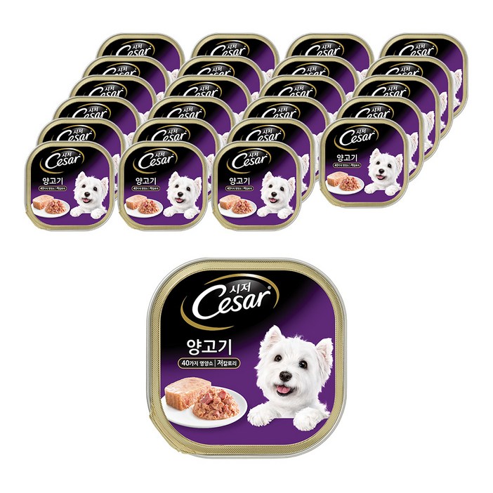 시저 1세 이상 강아지 주식캔