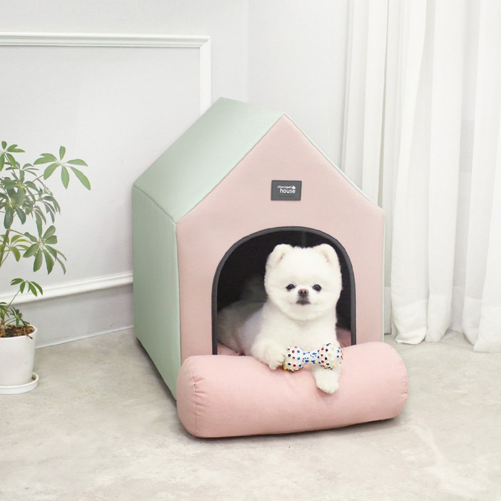 초코펫하우스 에브리데이 하우스