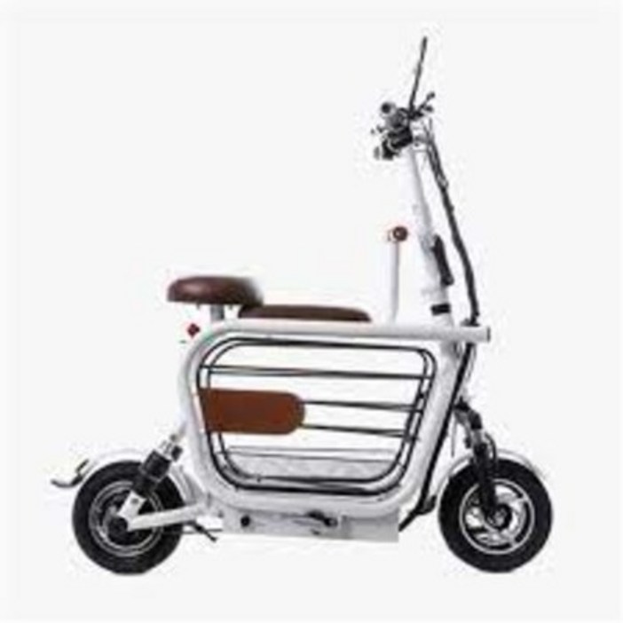 핸디라이프 이디뚜뚜 반려견과 함께타는 전기스쿠터 전동스쿠터 당일배송