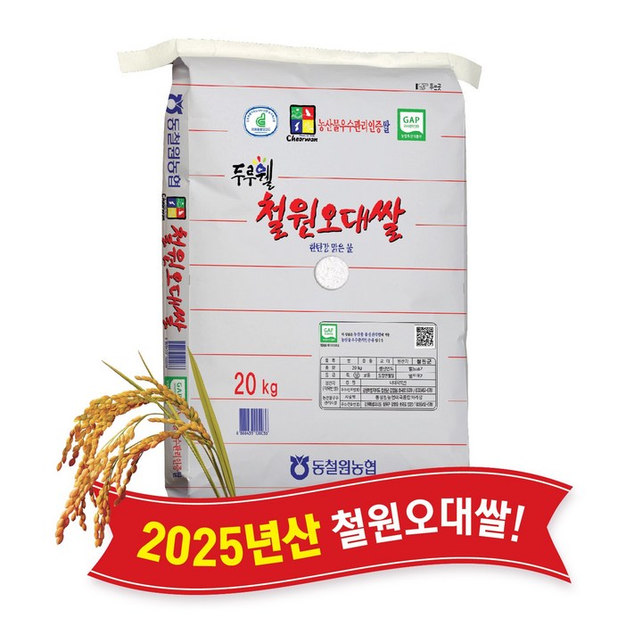 당일도정 동철원농협 운영 2025년산 햅쌀 두루웰 철원오대