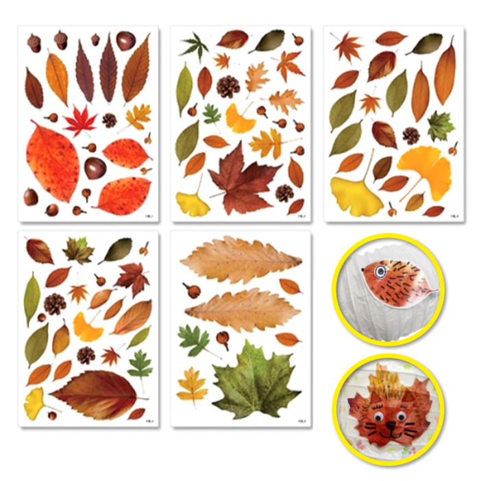 5장 가을 단풍 나뭇잎 스티커 만들기 방과후 재료 초등 낙엽 환경, 3세트, free