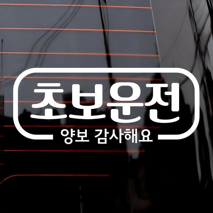 심플라인 초보운전 차량용 스티커