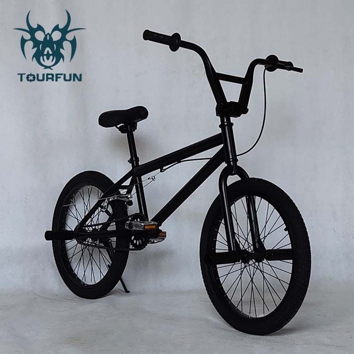 BMX 자전거 20인치 묘기 입문용 비엠엑스